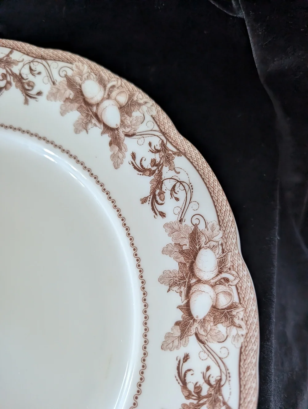 Williams Sonoma Cream Dinner Plates with Brown Floral Border